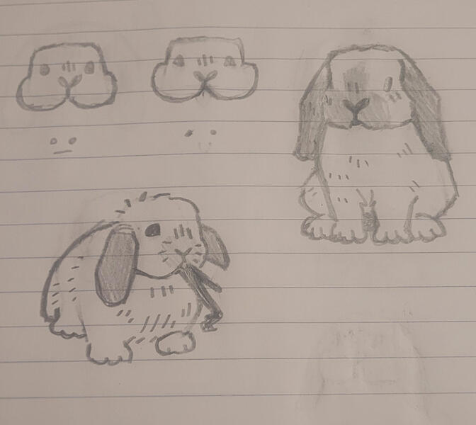 Bunny Doodles Bunny Doodles