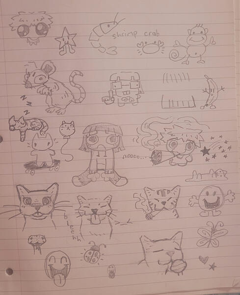 Random Doodle Page